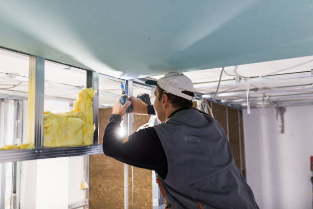 Best Insulation Installation Services in Marlboro Meadows, MD